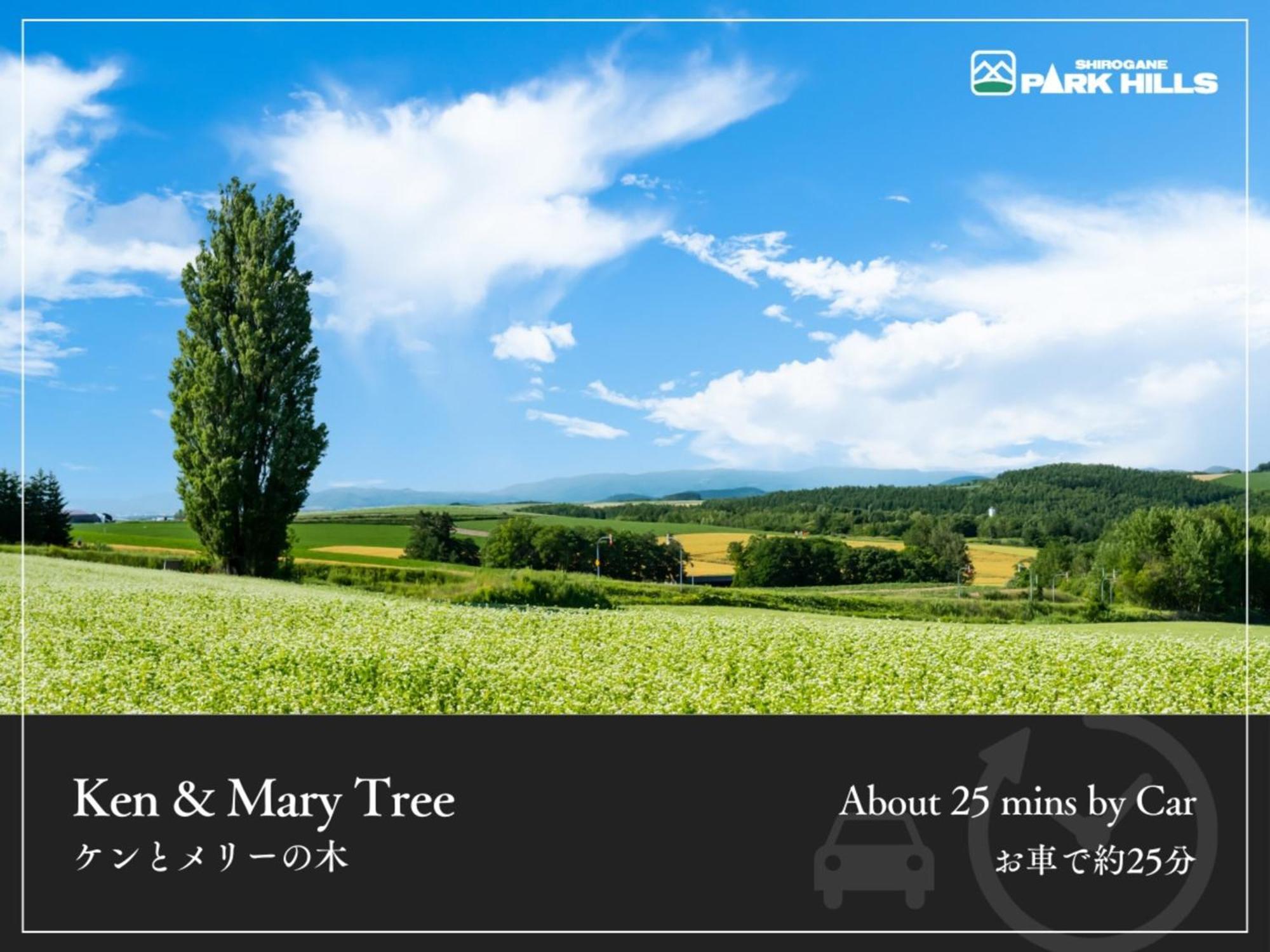 Biei Shirogane Onsen Hotel Park Hills Exterior photo